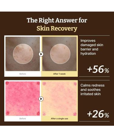  Jingmiger Women's Face Cream - 60ml Light Soothing Brightening Moisturizing Lotion Daily Face Moisturizer | For Daily Use Night Autumn Winter Summer Sun After-Sun Makeup Travel - Buy Online on GoSupps.com