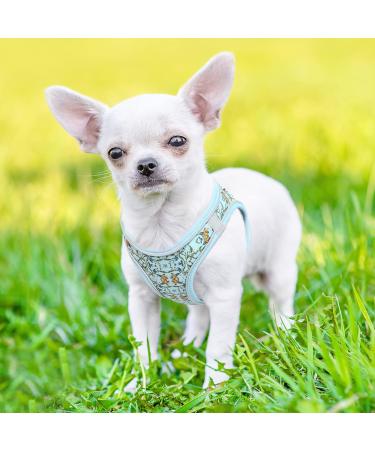 Heele Small Soft Dog Dishes & Adjustable Puppy Harness Vest | Reflective Air Mesh Control for Training & Walking - Vine Cyan XS - Buy Online on GoSupps.com