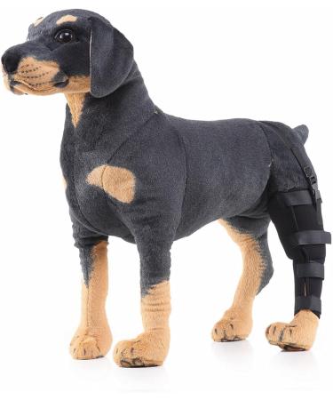 Dog Right Hind Leg Knee Brace Dog Braces for Back Legs Super Supportive for Heals Prevents Injuries Sprains Protects Wounds. A Small - Buy Online on GoSupps.com
