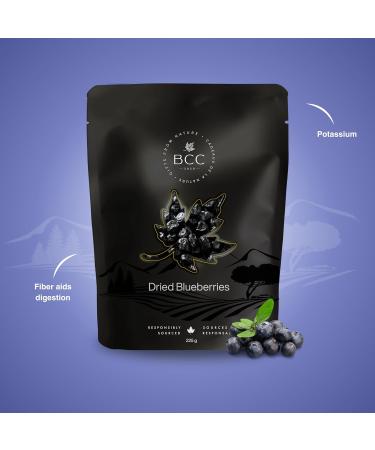 Dried Blueberries Premium Quality Non-GMO Gluten-Free Naturally Sweet and Nutritious Fruit for Snacking Baking and Cooking No Additives or Preservatives (454 g) - Buy Online on GoSupps.com