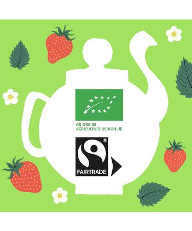 CLIPPER - Organic Strawberry Green Tea - Sumptuous - Fair Trade - 20 Organic Tea Bags - 1 pack - Buy Online on GoSupps.com