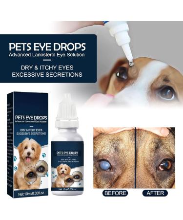 Cataract Eye Drops for Dogs Pets Eye Drops Effective Dog Eye Infection Treatment Cats Eye Cleaner Cataract Eyedrops Improve Vision Clarity Relieve Red Eyes & Allergy Symptoms (2 x 0.35fl.oz) Blue - Cataract Eyedrops for Dogs (2 Bottle) - Buy Online on GoSupps.com