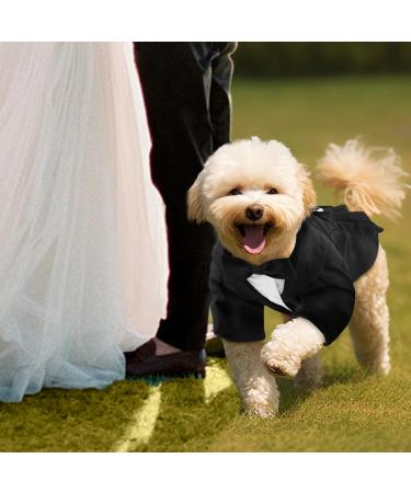 Cit toile Dog Wedding Suit Set - Tuxedo Shirt & Fly Party Outfit for Small Medium & Large Dogs & Cats - Perfect for Weddings Birthdays & Halloween - Black - Buy Online on GoSupps.com