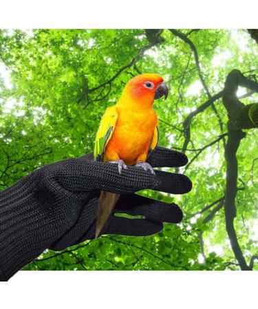 Alfyng Bird Training Anti-Bite Gloves for Small Animals Protective Chewing Gloves for Squirrels Hamsters Parrotlets Cockatiels Finches & Macaws (1 Pair) | Best International Shipping - Buy Online on GoSupps.com