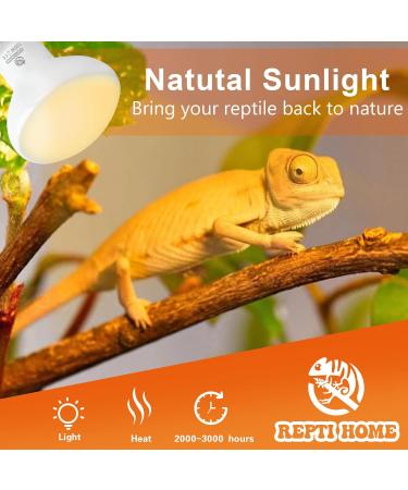 REPTI HOME Reptile Heat Lamp Bulbs 2 Pack 100W Heat Lamp for Reptiles E27 Basking Light Bulb for Vivarium Turtle Lizard Tortoise Bearded Dragon Puppy Chick - Buy Online on GoSupps.com