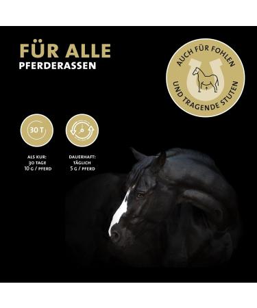 Peticare Detox-Mix Powder for Horses | Supports Liver Kidney & Intestinal Health | Natural Detoxification with Vegetables MSM & Vitamin B6 | Pethorse Health 400g - Buy Online on GoSupps.com