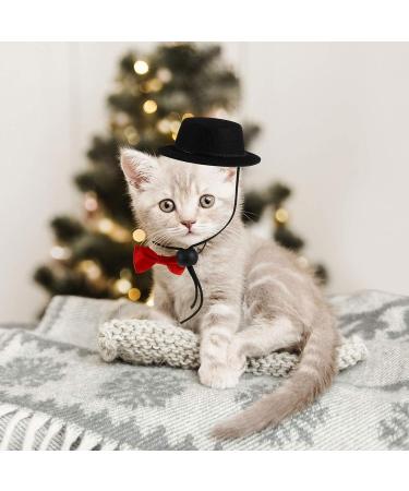 POPETPOP Guinea Pig Outfit Hamster Hat and Bowtie Set - Small Animal Costume for Parties and Festivals - Perfect for Rats, Sugar Gliders, Rabbits, Chinchillas, Ferrets, and Cats - Black - Buy Online on GoSupps.com