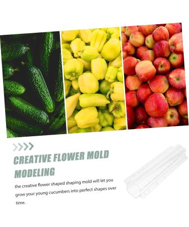 GANAZONO 4 Pcs Fruit and Vegetable Shaping Mold Fruit Stereotypes Cucumber Tool Heart-Shaped - Buy Online on GoSupps.com