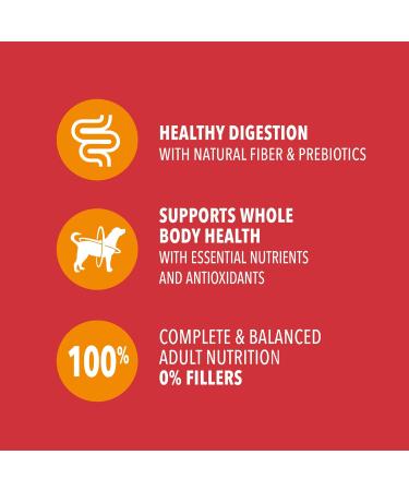 IAMS PROACTIVE HEALTH Dog Food Dry Minichunks Adult Lamb & Rice Recipe 1.50kg Bag 1.5 kg Dog Food - Buy Online on GoSupps.com