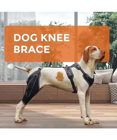 FXNFXLA Dog Knee Brace for Anterior Cruciate Ligament Tear Dog Knee Brace for Patella Luxation Support Cruciate Ligament Injury - Buy Online on GoSupps.com