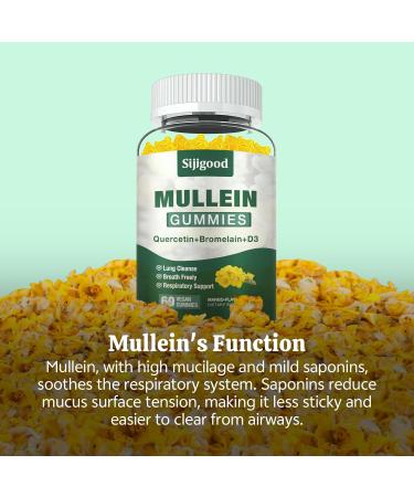 2 Pack Mullein Gummies for Lungs, Mullein Leaf Extract Supplement for Digestive & Respiratory & Immune Support with Bromelain, Quercetin, Mango Flavor, 120 Count Mango 60 Count (Pack of 2) - Buy Online on GoSupps.com