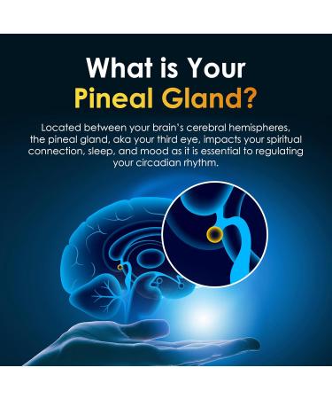 Pineal Gland Supplement - Brain Support Focus and Memory Vitamins for The Brain Decalcify Activate and Protect Your Pineal Gland - Third Eye Awakening - Pineal Guard X 2 Fl Oz (Pack of 1) - Buy Online on GoSupps.com