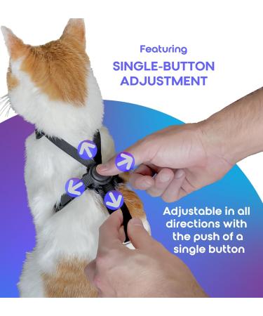 Furee Adjustable Cat Dishes - Anti-Flop Design with Push Button Adjuster | Safe & Stylish Feeding for Small Cats - Black/Gray - Buy Online on GoSupps.com