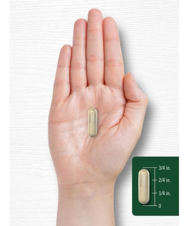 Carlyle Cordyceps Mushroom Capsules | 150 Count | CS-4 Strain Mushroom Extract | Non-GMO and Gluten Free - Buy Online on GoSupps.com