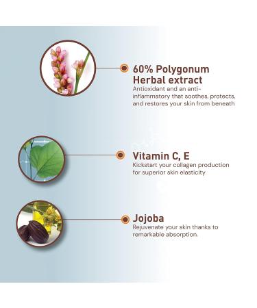 Moraz Day Cream for Dry Skin | Hydrating Anti-Aging Face Moisturizer | Boost Collagen 1.7 oz | International Shipping Available - Buy Online on GoSupps.com