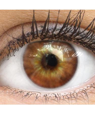 Buy Cagliari Brown Colored Monthly Contact Lenses - Soft Hydrogel 0.0 Dioptre 2 Pieces + Lens Case | Starch-Free Natural Colors - Buy Online on GoSupps.com