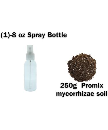 Brown Mustard Microgreen Kit - Organic Mustard Sprout Seeds - Indoor Microgreens Growing Kit Includes Seed Packets Growing Trays Spray Bottle Soil and Comprehensive Guide (100 Grams) - Buy Online on GoSupps.com