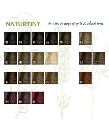 Naturtint Root Retouch Dark Blonde 45ml - Instant Hair Color Touch Up | 100% Vegan & Ammonia-Free Hair Dye - Buy Online on GoSupps.com