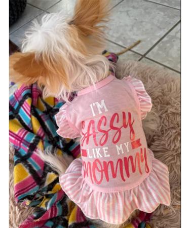 XPUDAC Pink Angel Dog Dress for Small Dogs/Cats (5.5-8lbs) - Cute Puppy Shirt Apparel - Buy Online on GoSupps.com