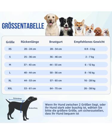 Eyein Dogebody After Op - Breathable Soft One-Piece for Dogs | Wound Protection Zip & Belt | E-Neck Band Alternative (Blue XS) - Buy Online on GoSupps.com