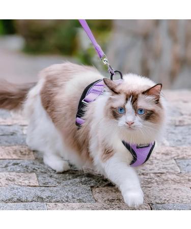 Rabbitgoo Cat Dishes & Harness Sets | Premium Cat Accessories for Happy Pets - Buy Online on GoSupps.com