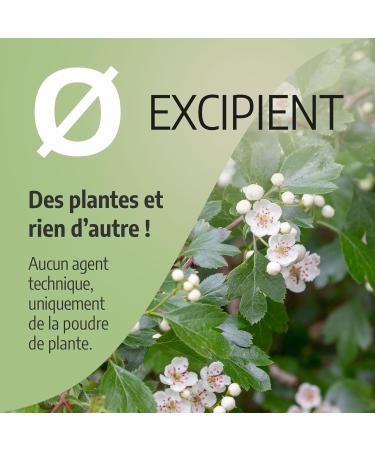 Hawthorn 270 mg - 200 capsules - Ecocert certified - Buy Online on GoSupps.com