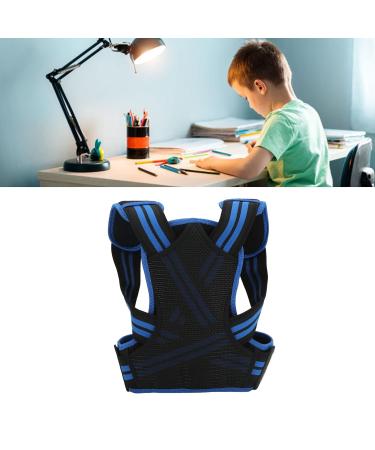 Posture Corrector Back Straightener Belt Support Elastic Comfortable Brace for Men Women (Blue) L Blue - Buy Online on GoSupps.com