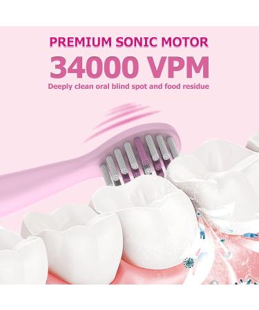 CHAIN PEAK Musical Kids Sonic Electric Toothbrush Rechargeable Smart Cartoon Toothbrush for Children Toddlers for Age 3-12 with 2- MinTimer 3 Modes 4 Bristles 34000VPM (Pink Rabbit) Pink Rabbit(package Might Vary) - Buy Online on GoSupps.com