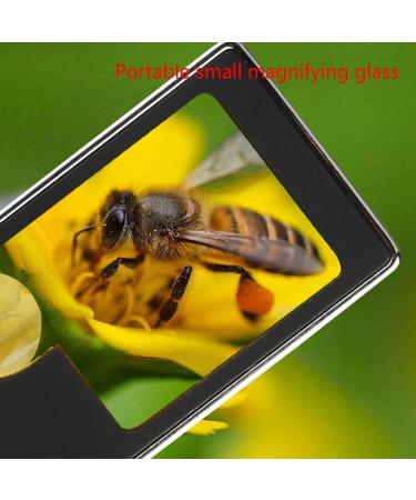 Handheld-Illuminated Magnifier 10X 3X Portable 4 Lamp Black Magnifying-Glass with Light Jewelry Watch Loupe-Reading Magnifier with Light Headband for Reading Senior wear Glasses- Stand for Eye for - Buy Online on GoSupps.com