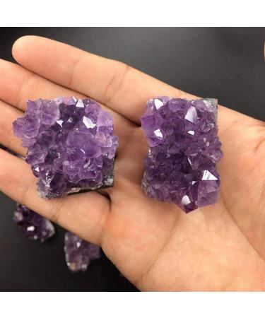 1pc Natural Raw Amethyst Quartz Crystal Cluster Stones Home Decoration Crafts Piedras naturales y (Size : 10-20g) - Buy Online on GoSupps.com