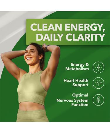 PlantFusion Organic Methylated Vitamin B Complex Vegan B12 3000mcg Folate 680mcg DFE B6 from Organic Sprouts Berry-Flavored Lozenges 60 Count - Buy Online on GoSupps.com