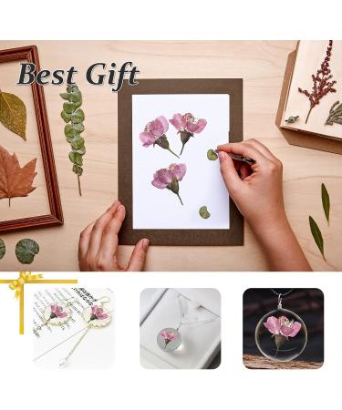 Dried Pressed Cherry Blossom Flowers - 60PCS Pink | Real Natural Dry Flowers for Resin Crafts & Candle Making - Buy Online on GoSupps.com