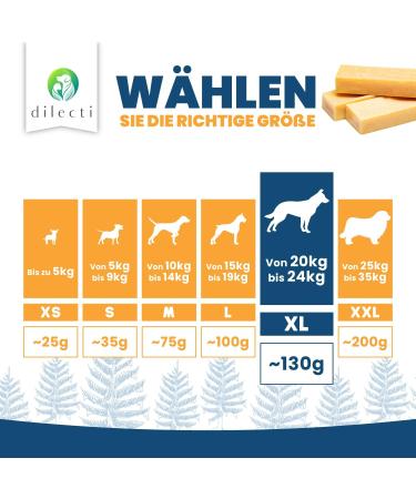 Natural Cheese Chewing Bones for Dogs - Durable Tasty XL 3-Pack | Long-Lasting Chews - Buy Online on GoSupps.com