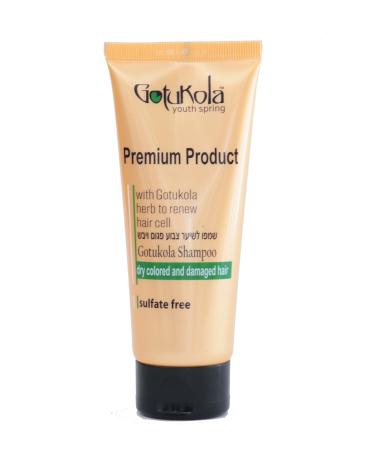Gotukola Shampoo for Dry Colored and Damaged Hair 100ml 3.38fl.oz