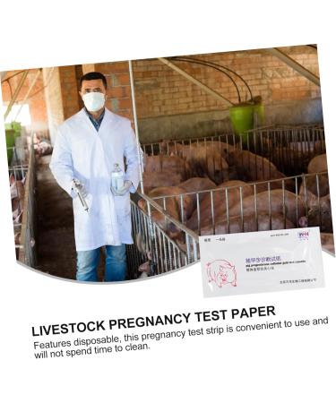 FRCOLOR 6 Pcs Pregnant Tester Pig Pregnancy Test Strips Livestock Testing Paper Animal Pregnancy Test Tools Sow Pregnancy Test Strips Farm Testing Tool White Plastic Accessories Whitex3pcs 1 count (Pack of 1) - Buy Online on GoSupps.com