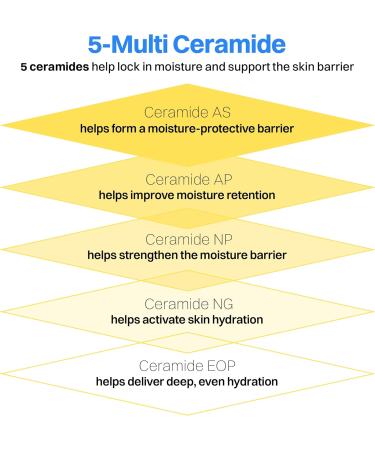 HOLIKA HOLIKA Cerabarrier Moisture Active Mist - Face Hydrating Spray Barrier Repair - 5 Ceramide Complex Phytosterols Meadowfoam Oil - Hypoallergenic Korean Skincare for Dry Sensitive Skin 4.05oz - Buy Online on GoSupps.com