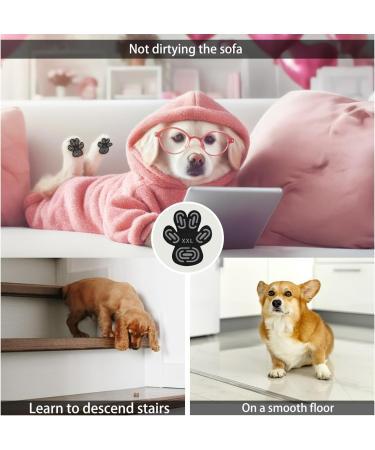 Wolancy 24 Pieces Dog Paw Protector Anti-Slip Stickers | XL Self-Adhesive Traction for Hardwood Floors - Perfect for Pet Safety - Buy Online on GoSupps.com