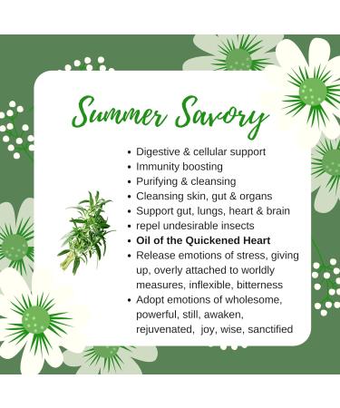 Nova Scotia | Summer Savory | 100% Natural | 30gm - Buy Online on GoSupps.com