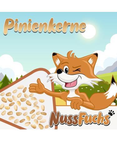 Buy Organic Pine Nuts 1kg - Whole Untreated Vegan Naturally Nutty - Perfect for Toppings & Baking - Nut Fox - Buy Online on GoSupps.com