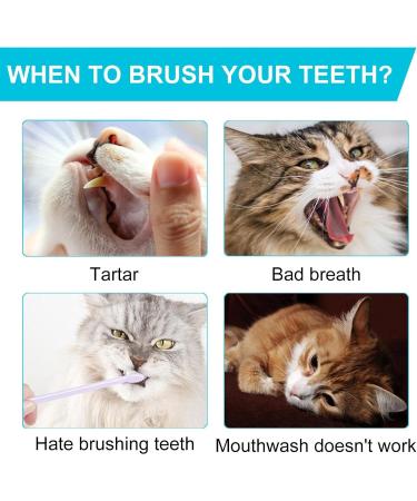 2 Pcs Pet Cleaning Finger Pads Dog Teeth Cleaning Pads | 50 Pads Dental Care Finger Pads for Dogs Dog Teeth Cleaning Product for Dental Care and Oral Hygiene Dog Breath Freshener Dobooo 2 Pcs 50pcs - Buy Online on GoSupps.com