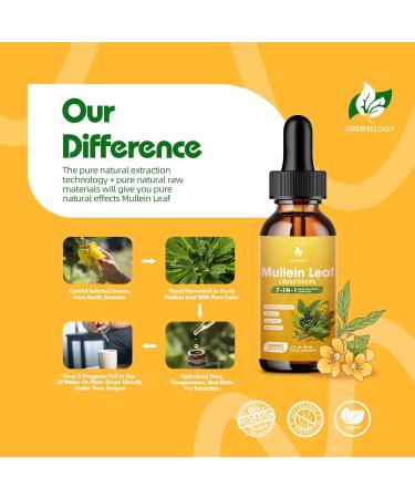 Mullein Drops for Lungs, 7-in-1 1500mg Mullein Leaf Liquid Extract for Lungs Cleanse and Respiratory Support, Lung Detox for Smokers Free Breathing, 2 Fl Oz 2 Fl Oz (Pack of 1) - Buy Online on GoSupps.com
