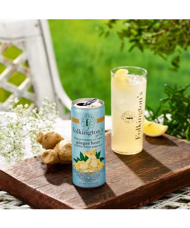 Folkington's Ginger Beer 12 x 250ml Cans - Premium Sparkling Soft Drink and Perfect Gin Mixer - Buy Online on GoSupps.com