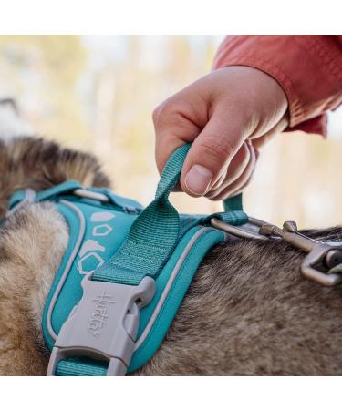 Hurtta Weekend Warrior Dog Harness for Medium Dogs - Peacock Turquoise (45-60 cm) | International Shipping Available - Buy Online on GoSupps.com