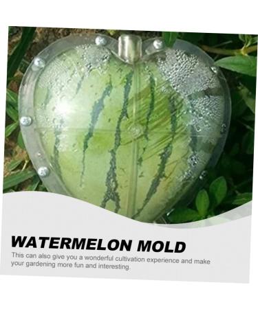 Gadpiparty Vegetables Fruit Growing Heart Mould Watermelon Grow Mold Cooking Utensils Modeling Ginseng Fruit 17x17cm Transparent - Buy Online on GoSupps.com