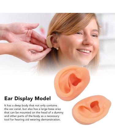 Silicone Human Artificial Ear Model for Hearing Aids and Earphones Display - Buy Online on GoSupps.com