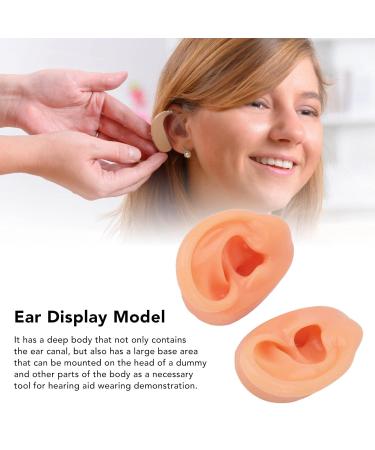 Soft Waterproof Ear Display Model | Simulated Model for Doctors & Centers - Buy Online on GoSupps.com