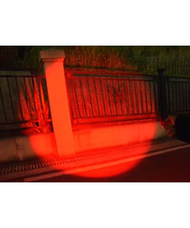 WAYLLSHINE High Power Red LED Flashlight - Single Mode, Ideal for Astronomy, Aviation, Night Observation - Buy Online on GoSupps.com
