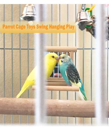 Bird Mirror Swing Toy for Small Parrots - Hanging Play Mirror for Greys, Parakeets, Cockatoos, Cockatiels, Conures, Lovebirds, Canaries, Macaws and African Parrots - Buy Online on GoSupps.com