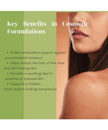 Organic Green Tea Extract Cosmetic Grade for DIY Skincare Serums Creams Lotions & Masks Soothing EGCG-Rich Botanical Ingredient for Face & Body Formulations - Alcohol Free 4 Fl Oz (Pack of 1) - Buy Online on GoSupps.com