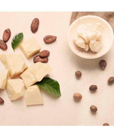 Buy Sinesia Take A Nap Massage Oil | Antioxidant Hair & Facial Treatment | Hydrating Scalp Oil with Jojoba Olive & Macadamia - 3.2 oz - International Shipping - Buy Online on GoSupps.com